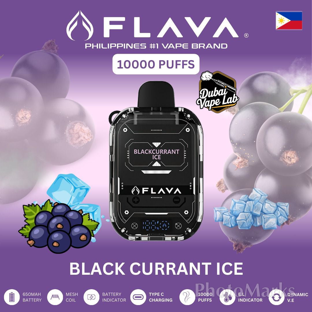Best Flava 10000 Puffs 3% Nicotine 30 Mg Disposable Vapes in Dubai