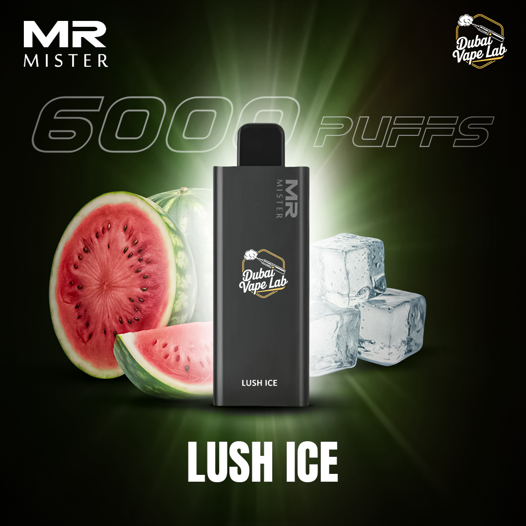 Mr MISTER 6000 Puffs Disposable Vape