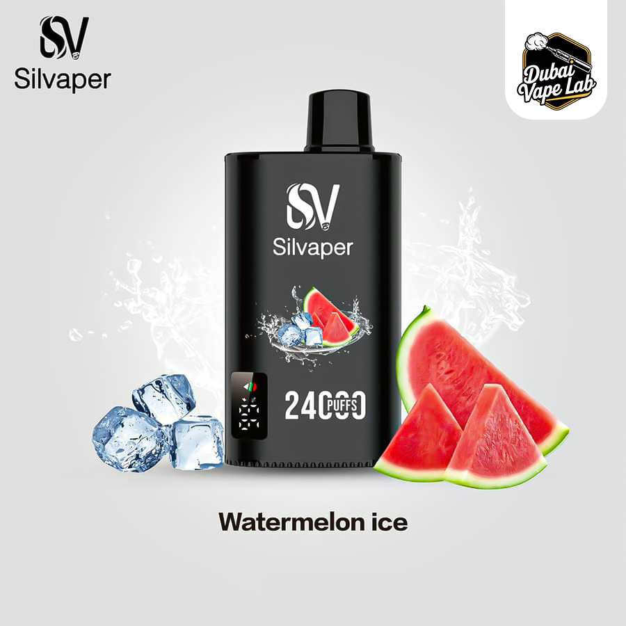 Silvaper 24000 Puffs Disposable Vape in Dubai