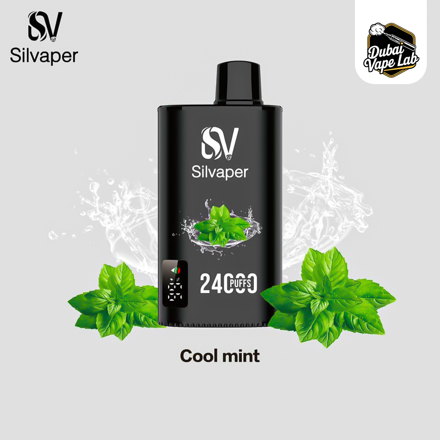 Silvaper 24000 Puffs Disposable Vape in Dubai