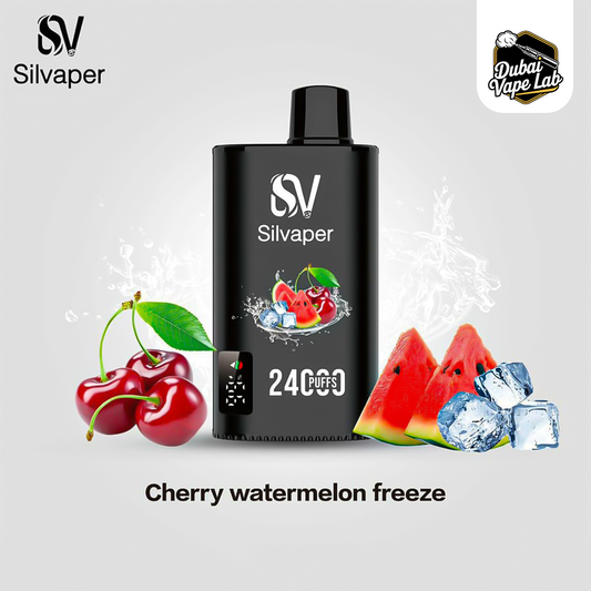 Silvaper 24000 Puffs Disposable Vape in Dubai