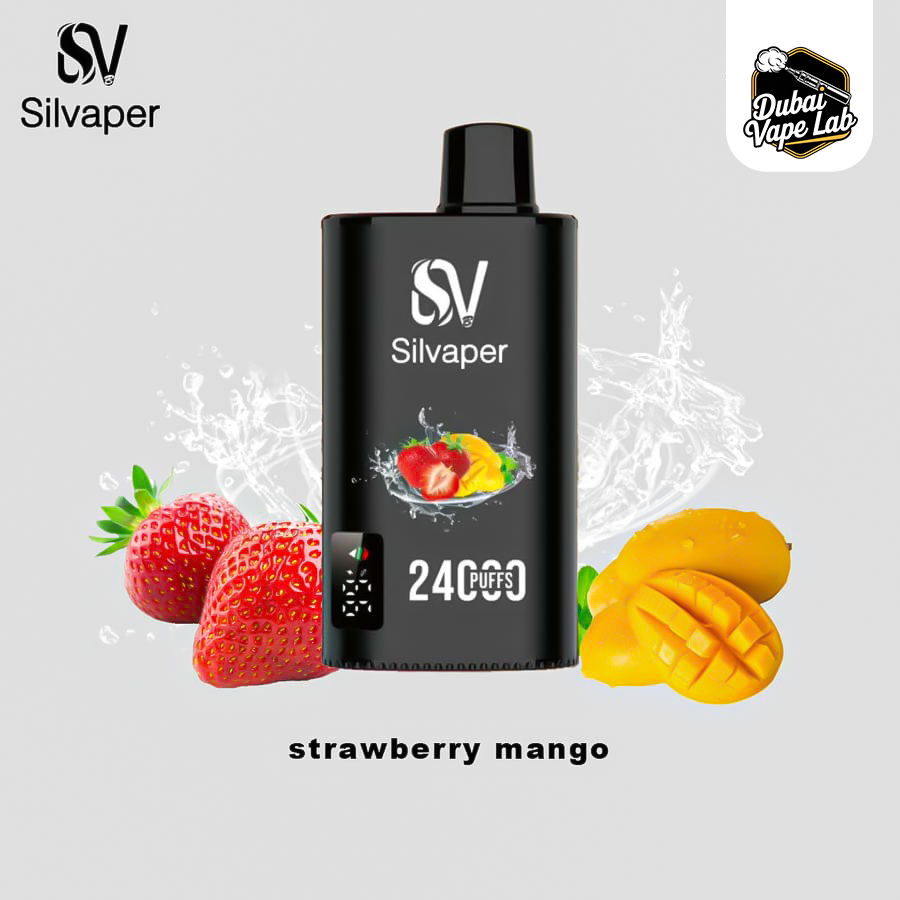 Silvaper 24000 Puffs Disposable Vape in Dubai