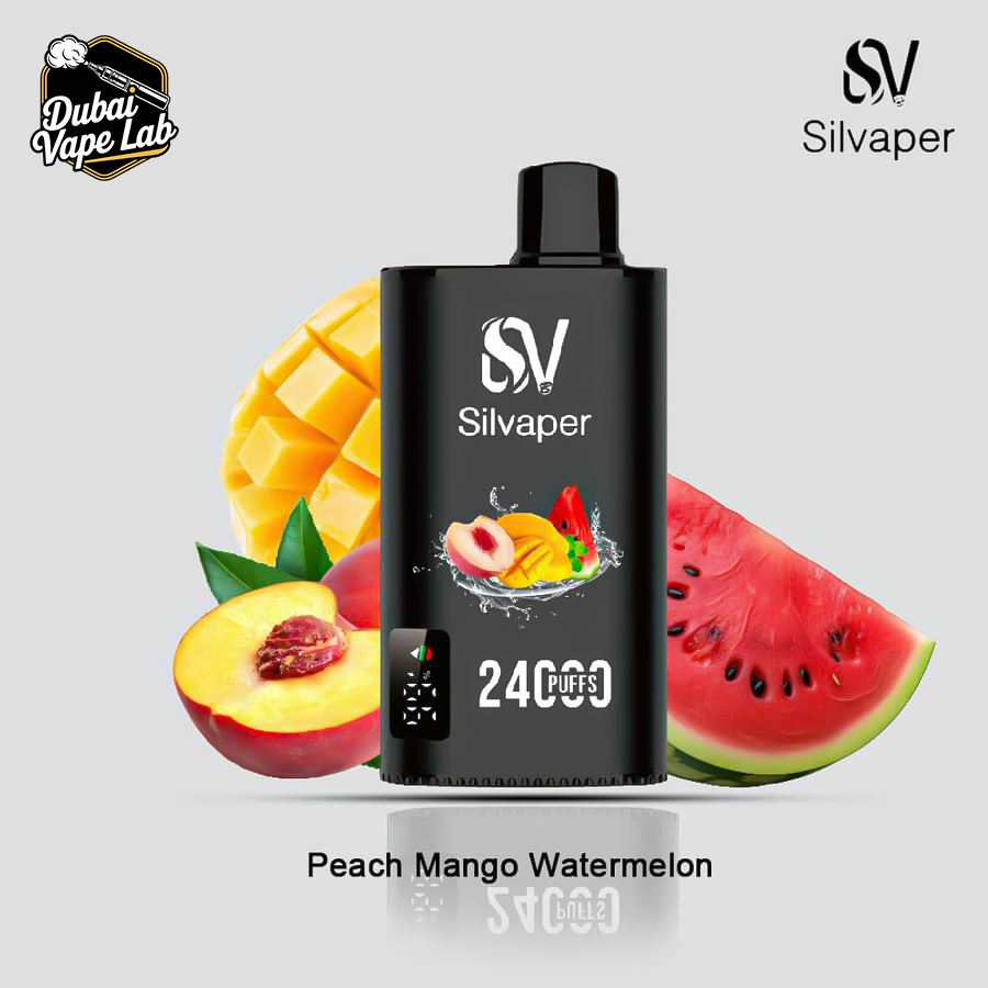 Silvaper 24000 Puffs Disposable Vape in Dubai
