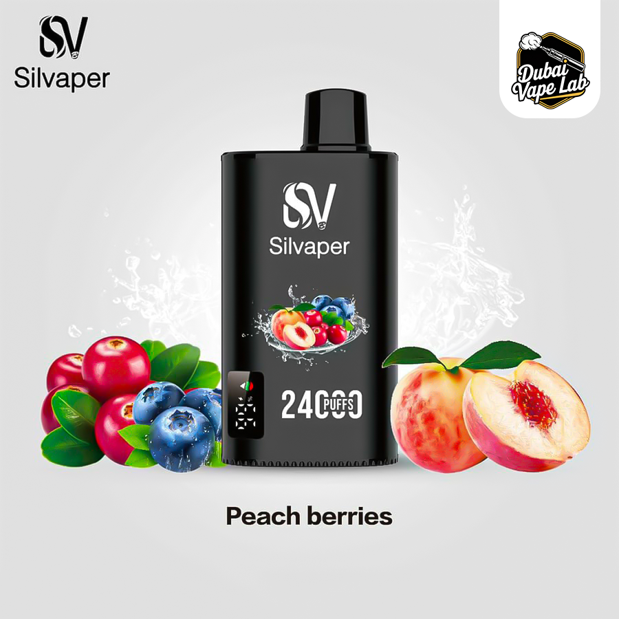 Silvaper 24000 Puffs Disposable Vape in Dubai