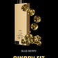 SIKARY FIT 12000 Puffs Disposable Vape