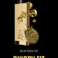SIKARY FIT 12000 Puffs Disposable Vape