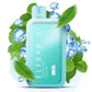 Elf Bar Raya D1 13000 Puffs Disposable Vape