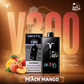 IGNITE V300 30,000 Puffs Rechargeable Disposable Vape