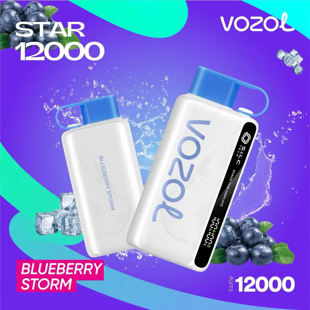Vozol Star 12000 Puffs Disposable Vape in UAE
