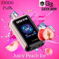 Geek Bar 23000 Puffs Disposable Vape In Dubai