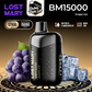 LOST MARY BM15000 Disposable Vape 15000 Puffs Now In Dubai, UAE
