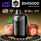 LOST MARY BM15000 Disposable Vape 15000 Puffs Now In Dubai, UAE