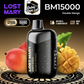LOST MARY BM15000 Disposable Vape 15000 Puffs Now In Dubai, UAE