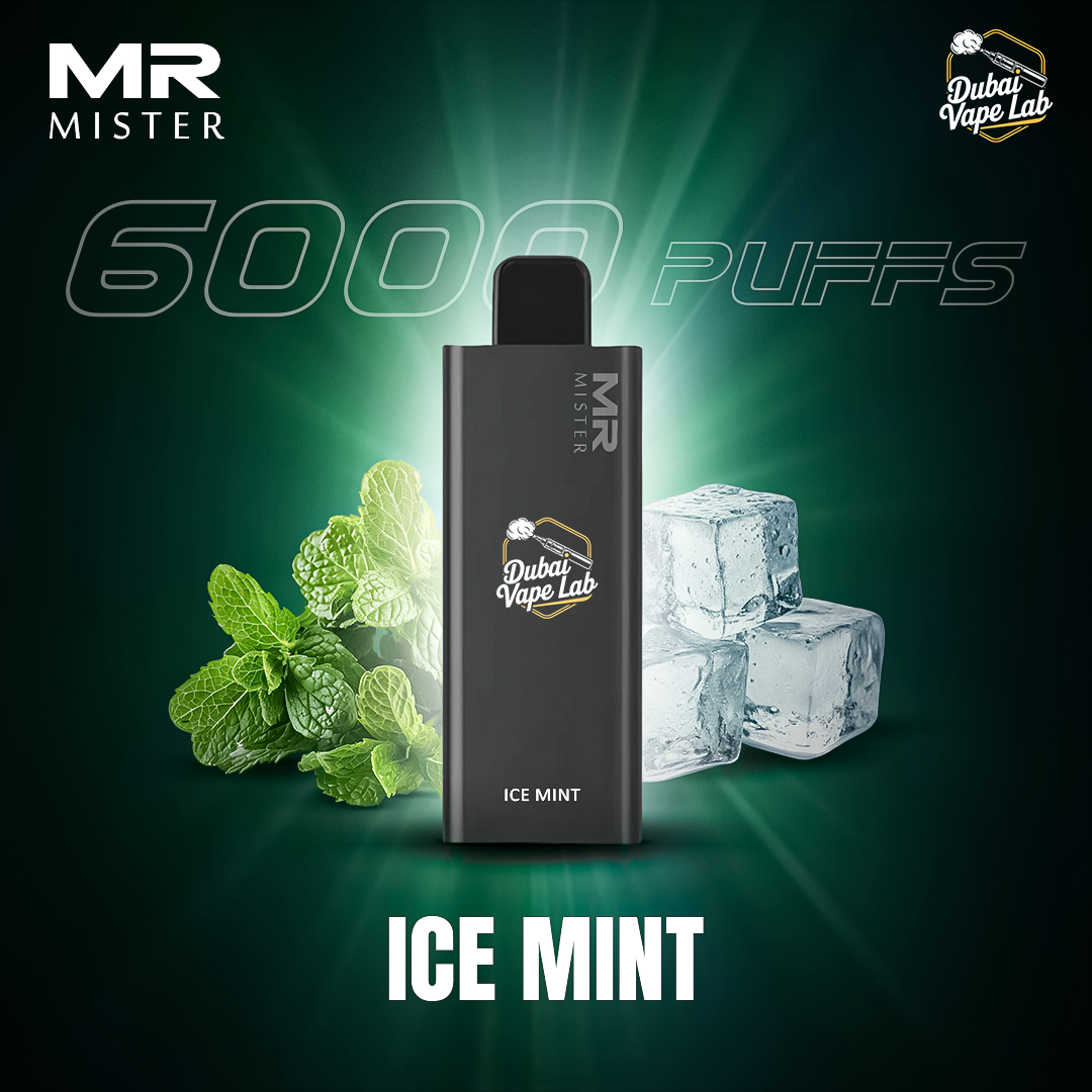 Mr MISTER 6000 Puffs Disposable Vape